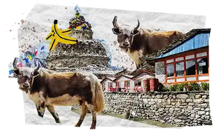 08 Tappe Viaggio DESKTOP Nepal
